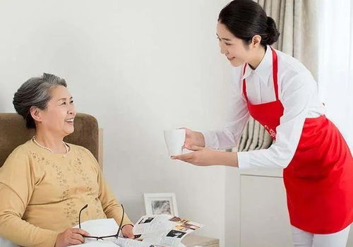 3年烧光20亿，这只“天鹅”的家政IPO梦