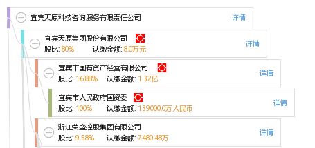 宜宾天原科技咨询服务有限责任公司 专业信息技术咨询服务引领企业数字化转型