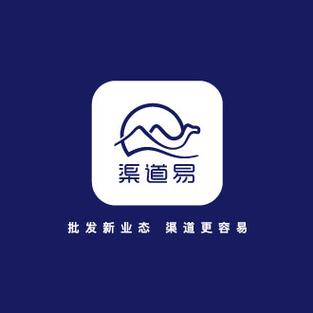 信息技术与互联网领域的专业服务体系与发展趋势